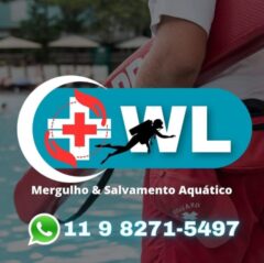 WLsalvamentos